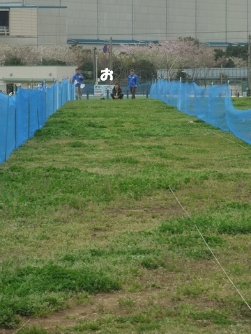 f0158862_20242313.jpg