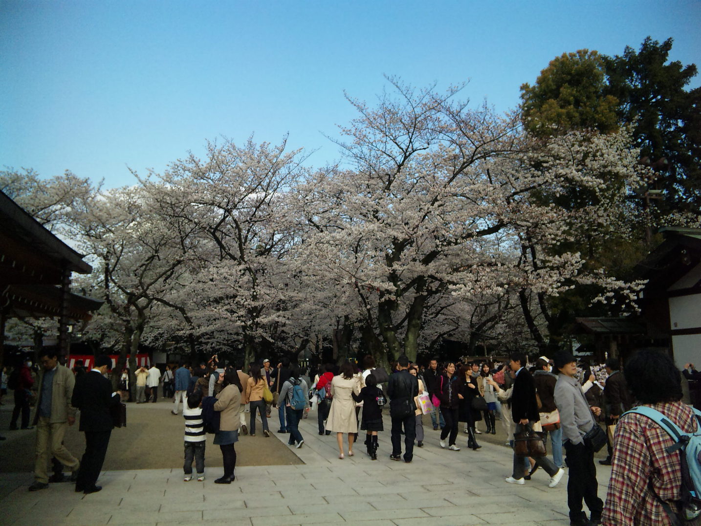 b0101263_0281948.jpg