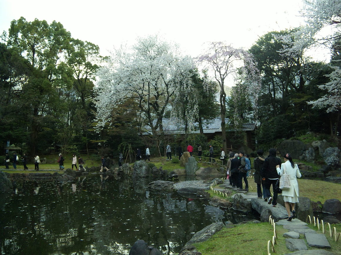 b0101263_029209.jpg