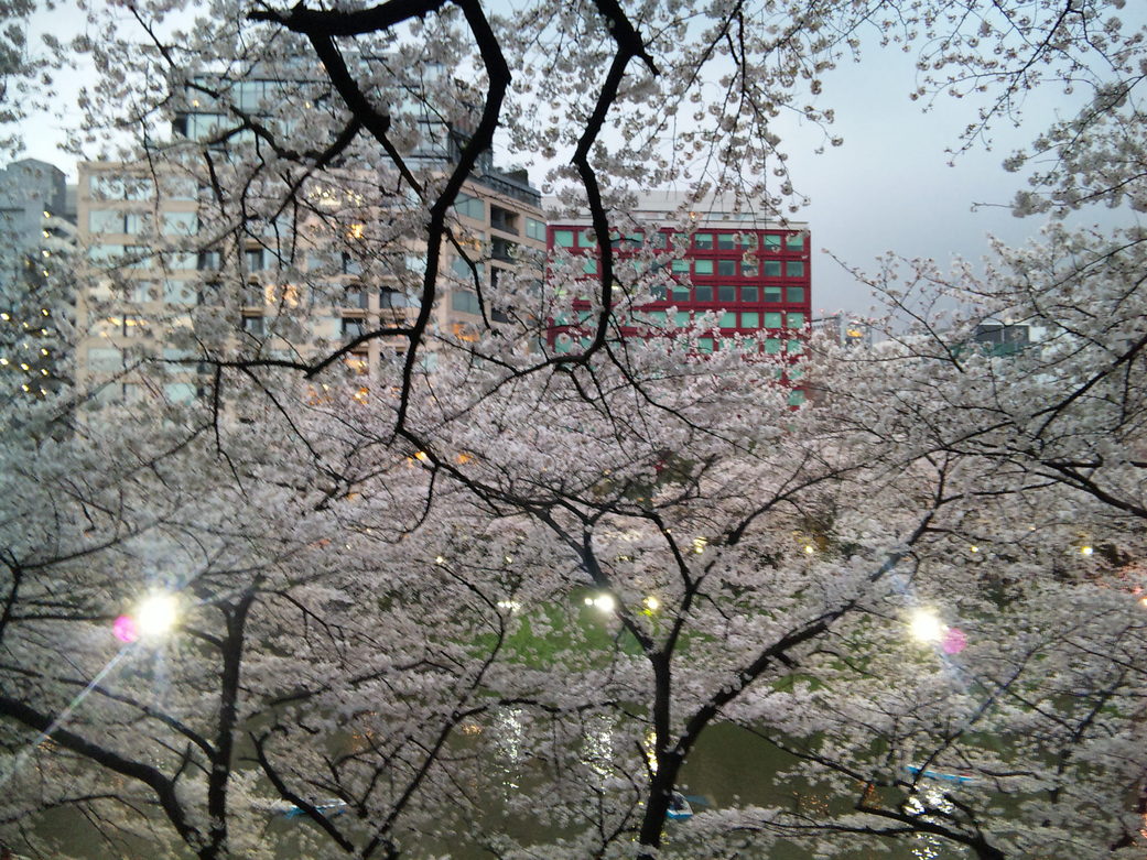 b0101263_039891.jpg