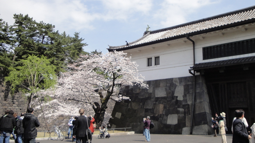 b0101263_0481525.jpg