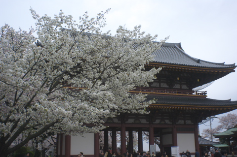 c0071763_2211889.jpg