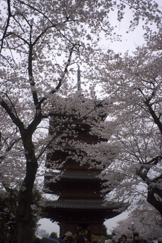 c0071763_2213273.jpg