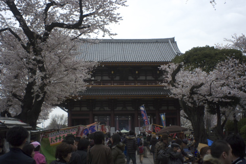 c0071763_221569.jpg