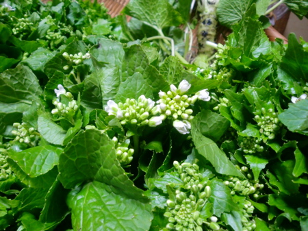 d0105063_11234666.jpg
