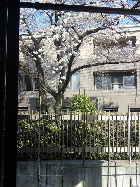 a0117464_220068.jpg