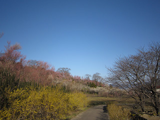 c0073564_15494470.jpg