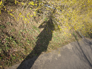 c0073564_1550228.jpg