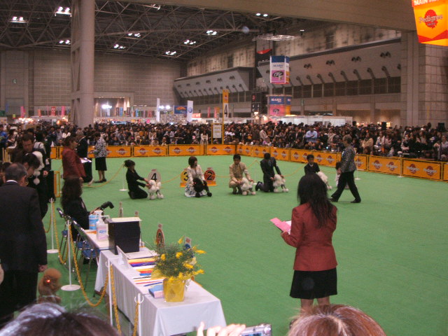 e0125264_2219682.jpg