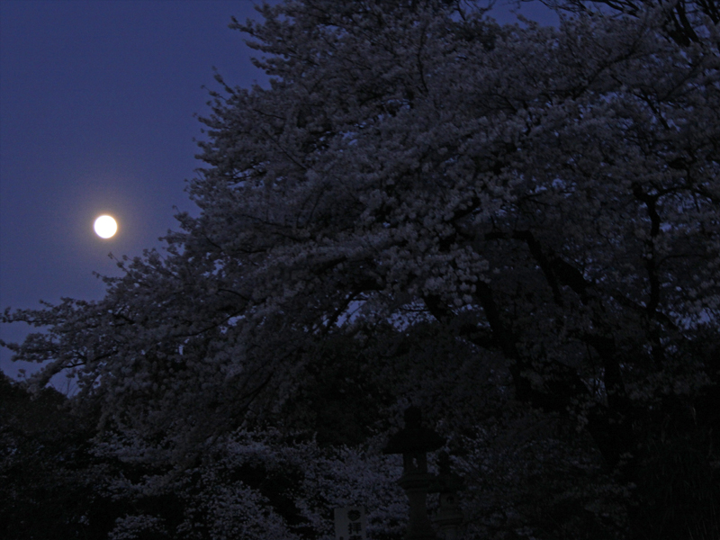 b0038366_15233937.jpg