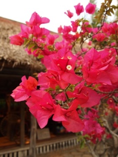 b0138768_23255596.jpg