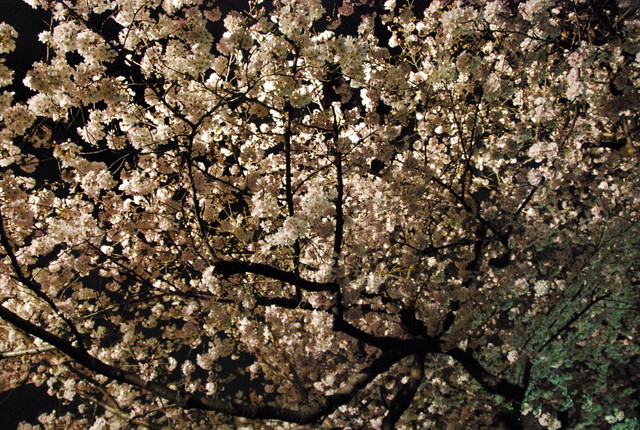 b0174068_21254542.jpg