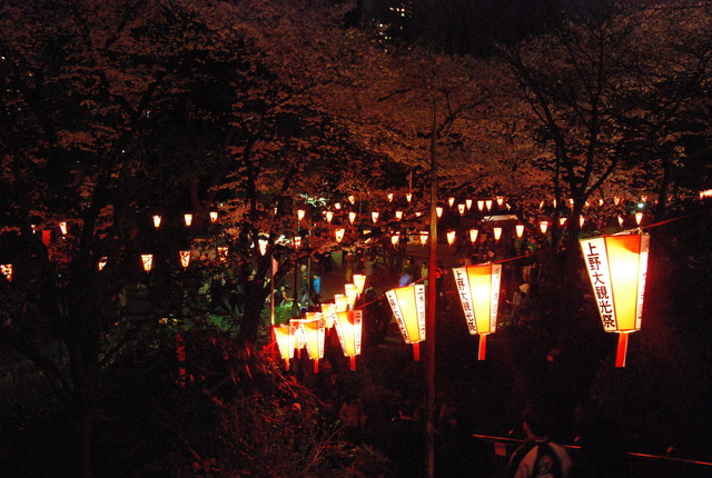 b0174068_21282325.jpg