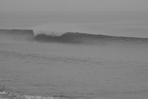 a0157069_7355913.jpg