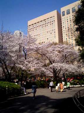 b0091373_10561677.jpg
