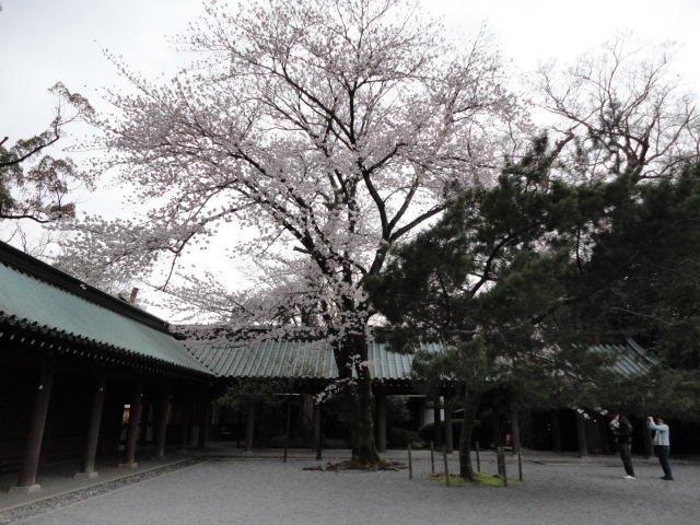 d0109373_343558.jpg