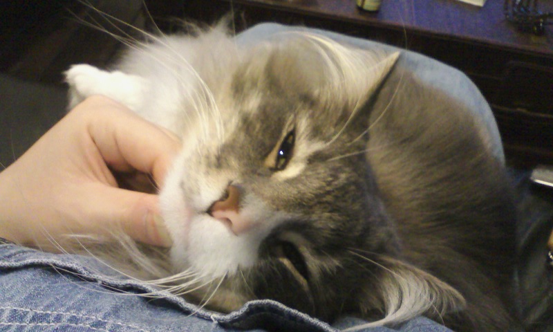f0200773_75944100.jpg