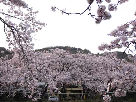 f0175875_2217210.jpg