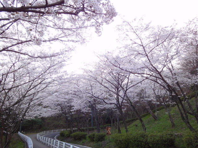 a0153577_1525626.jpg
