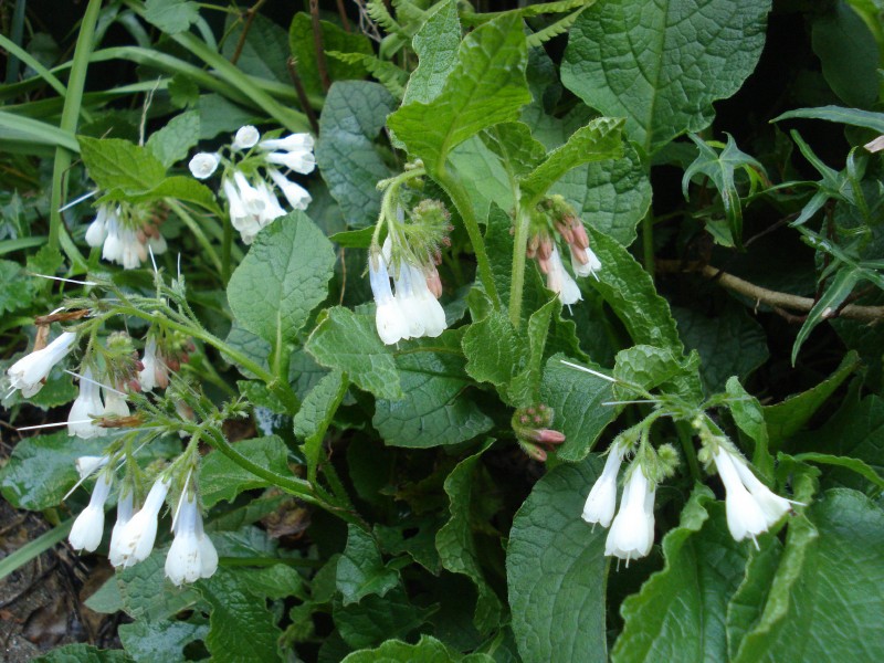 f0165677_20352340.jpg