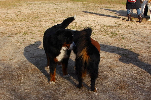 c0149178_8413685.jpg