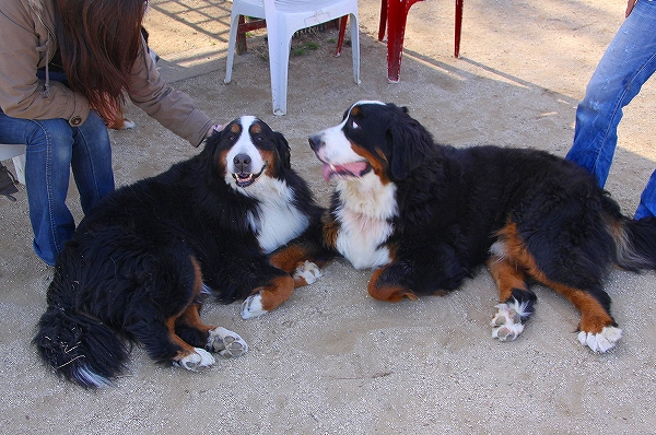 c0149178_8554255.jpg
