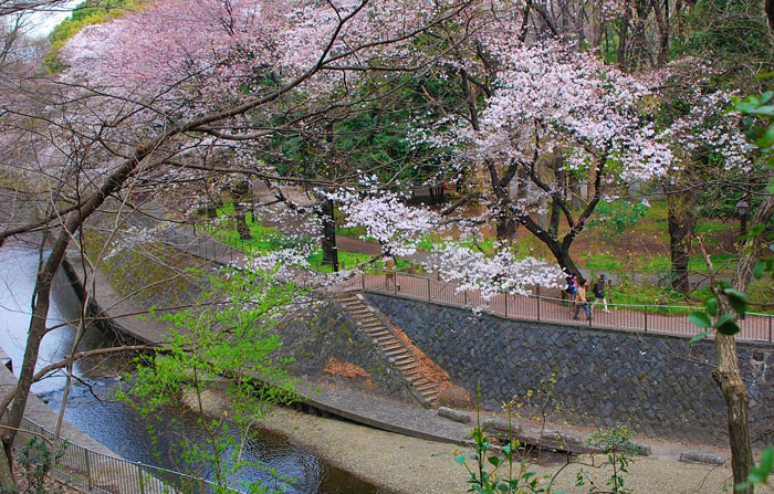 c0009981_4385048.jpg