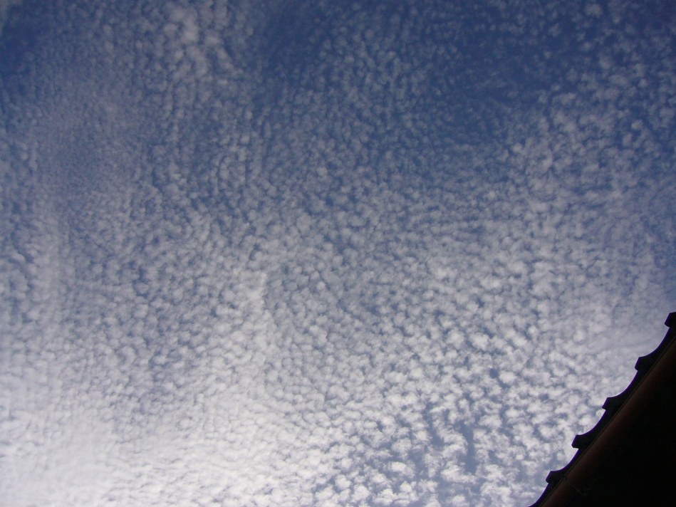 f0178381_20414292.jpg
