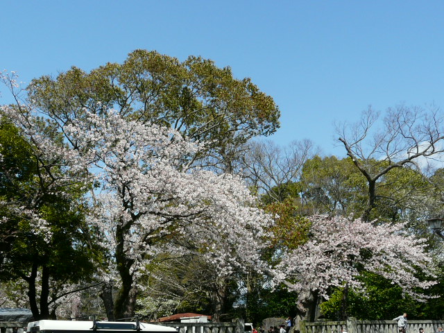 e0145782_19435010.jpg