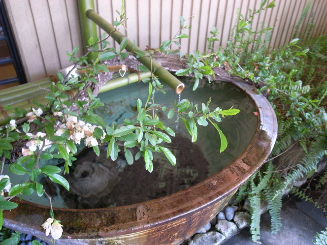 c0188784_149868.jpg