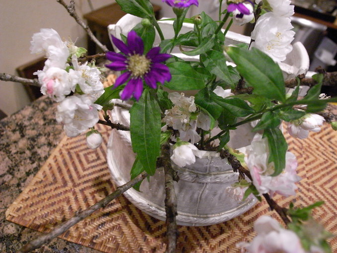 c0188784_15582647.jpg