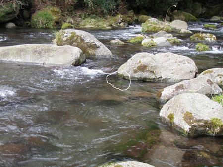 b0178889_1124588.jpg