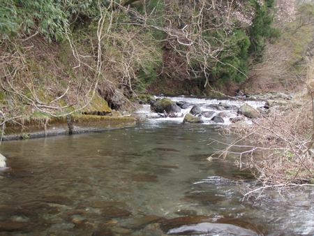 b0178889_1155232.jpg