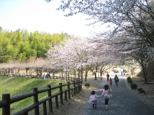 c0121291_5501122.jpg