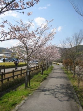 c0121291_5524940.jpg