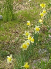 c0121291_613431.jpg
