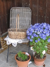 c0121291_68623.jpg
