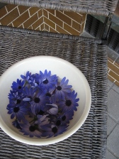 c0121291_69099.jpg
