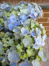 c0121291_69502.jpg