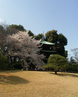 f0165392_012384.jpg