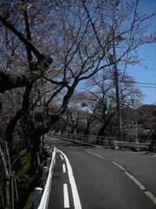 b0147093_213242100.jpg