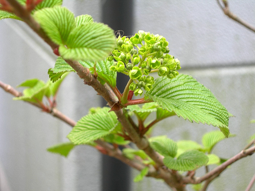 c0220700_1313274.jpg