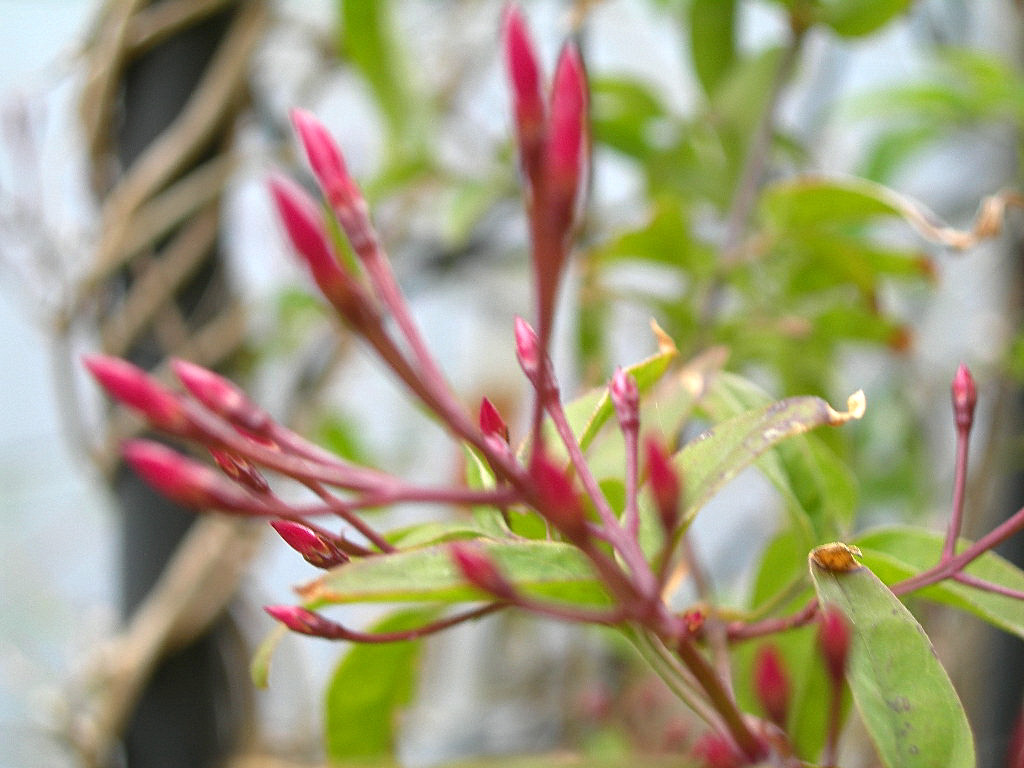 c0220700_1314451.jpg