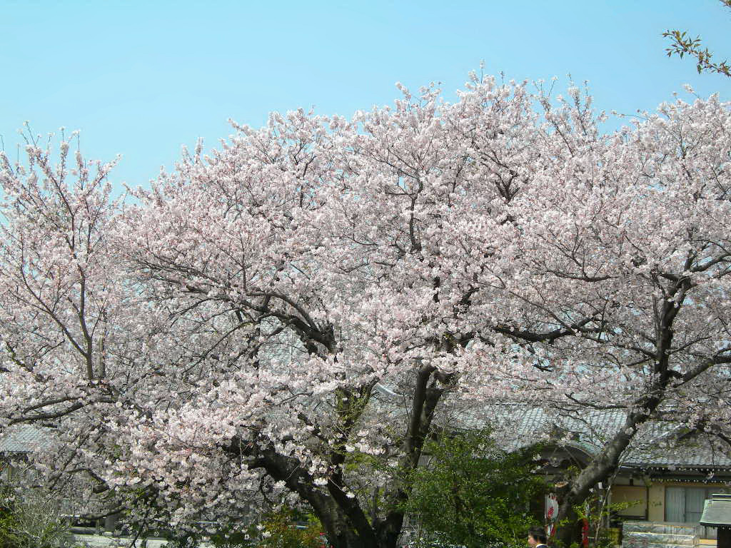 c0220700_1381952.jpg