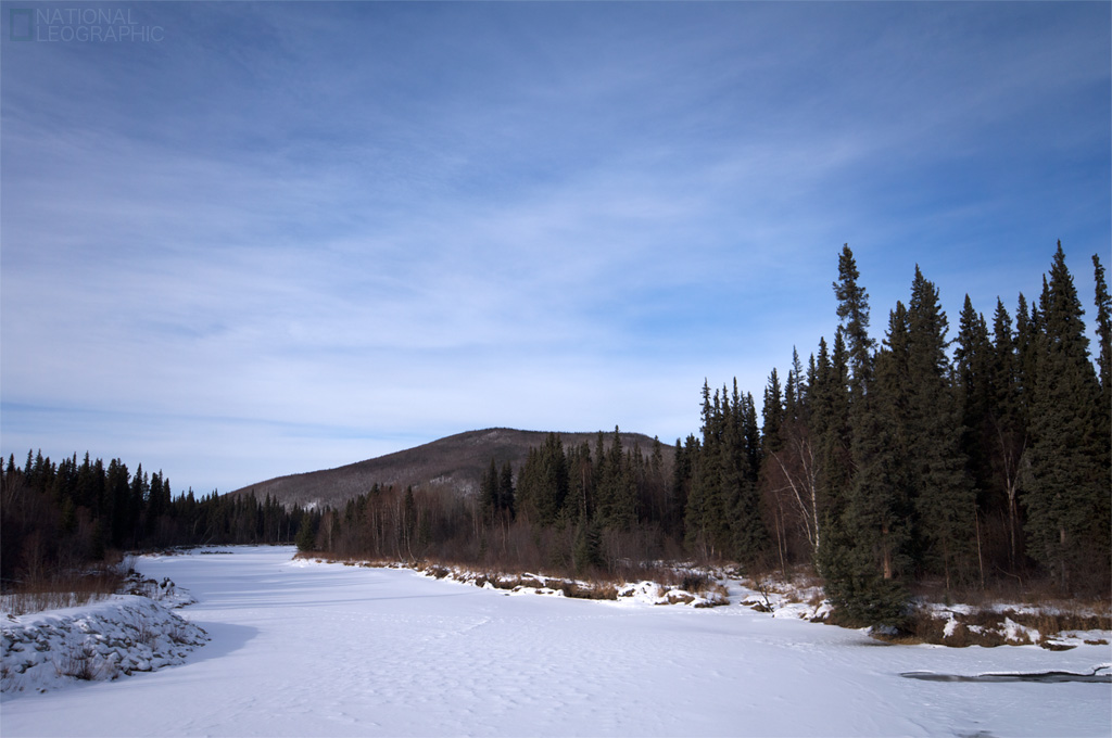 c0080101_658419.jpg