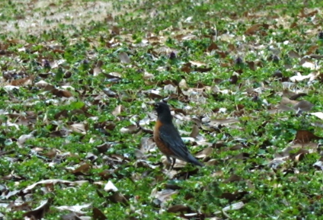 c0062603_5345431.jpg