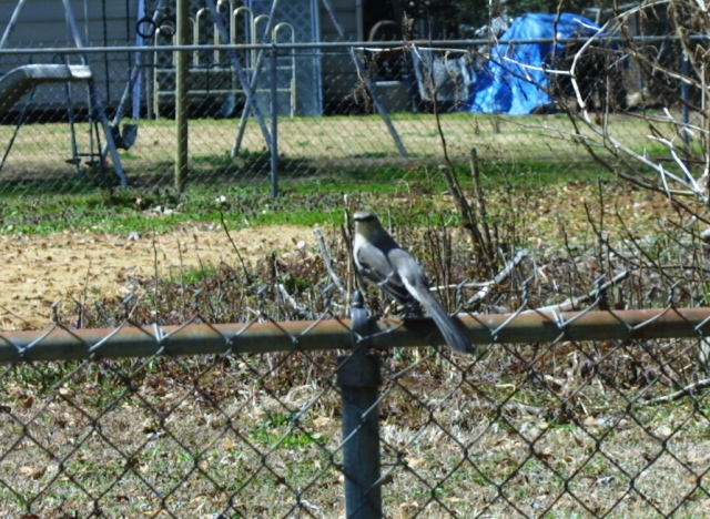 c0062603_5351459.jpg