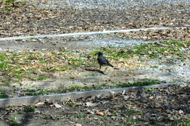 c0062603_5353564.jpg