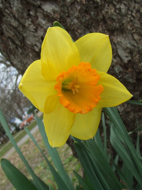 c0062603_5391040.jpg