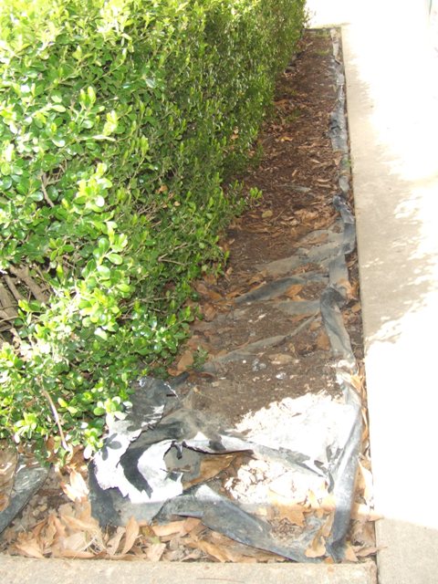 c0062603_5425385.jpg